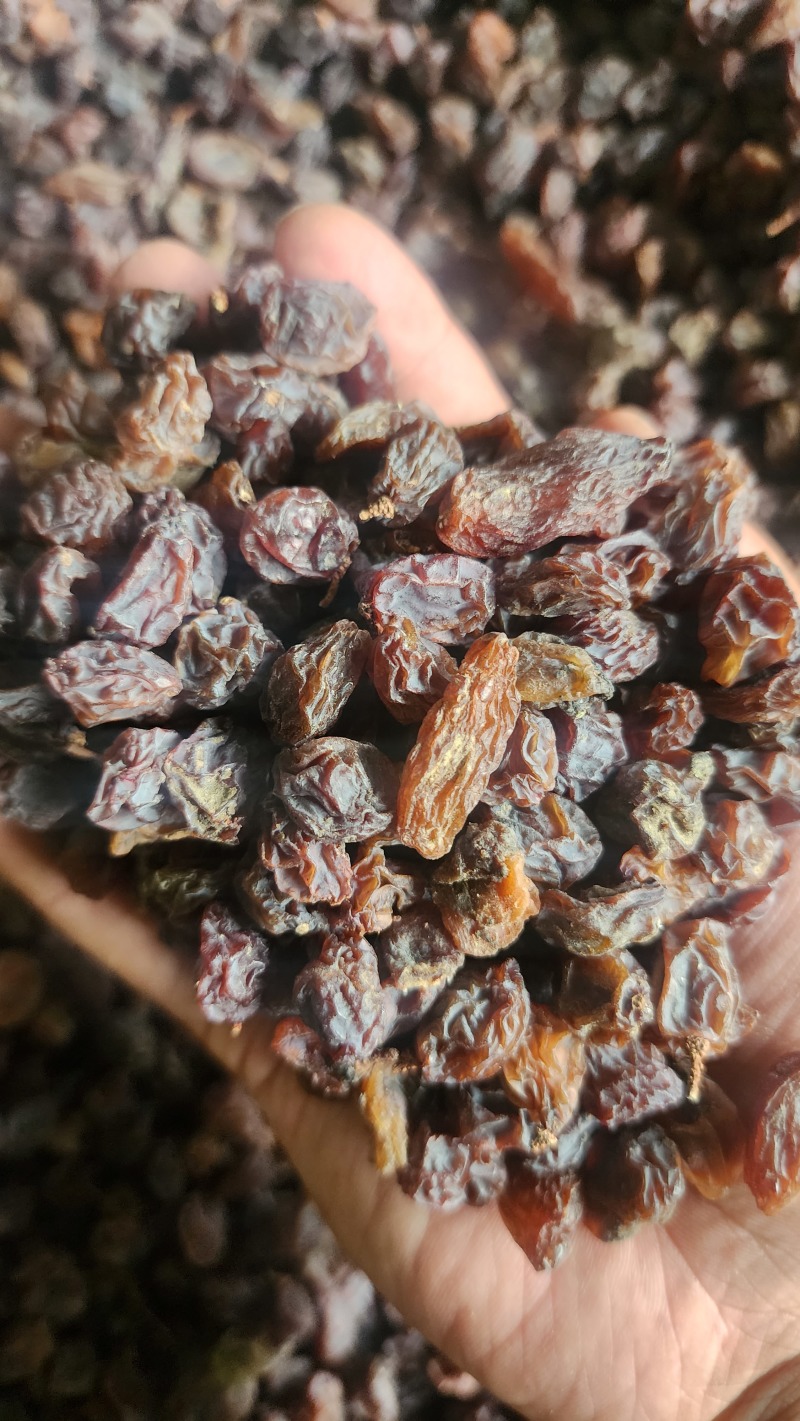 果蔬汁大颗粒、中颗粒，果子肉饱满，汁多，适合做葡萄干果汁