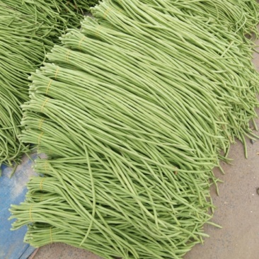 豆角青条豆角，长60公分
