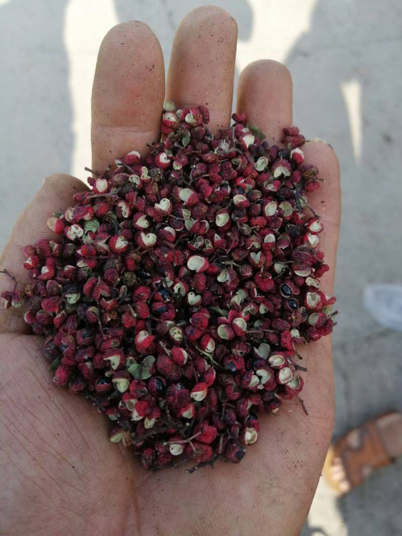 花椒特级、一级、通货三个等级