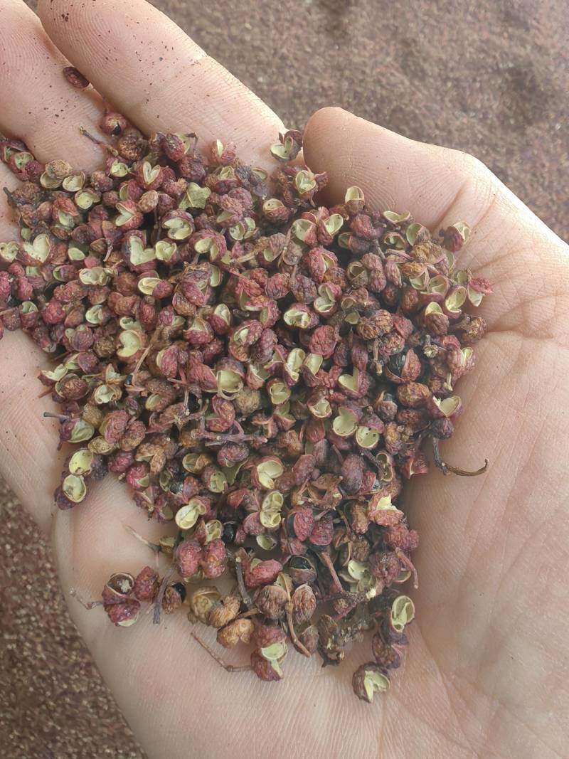 花椒特级、一级、通货三个等级
