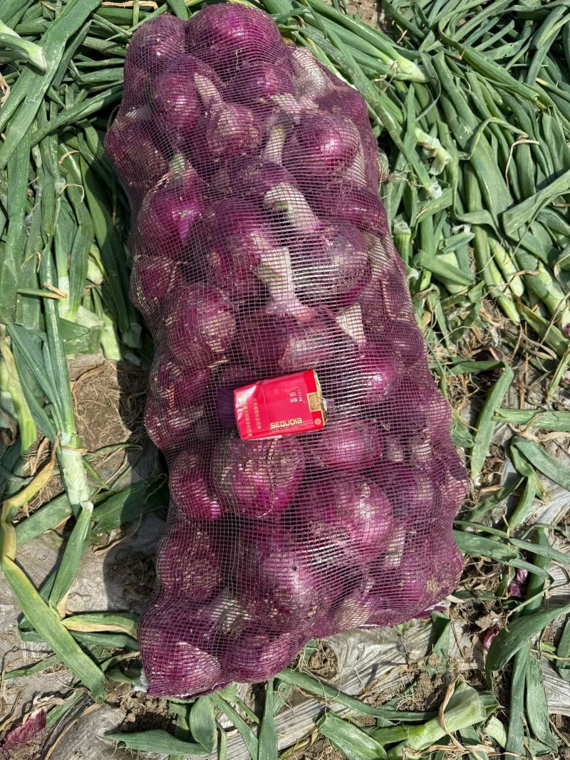 红葱头，毛葱头，小米葱，3～5，4～6，越南凭祥