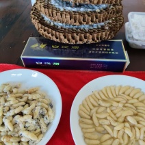 蜂蛹