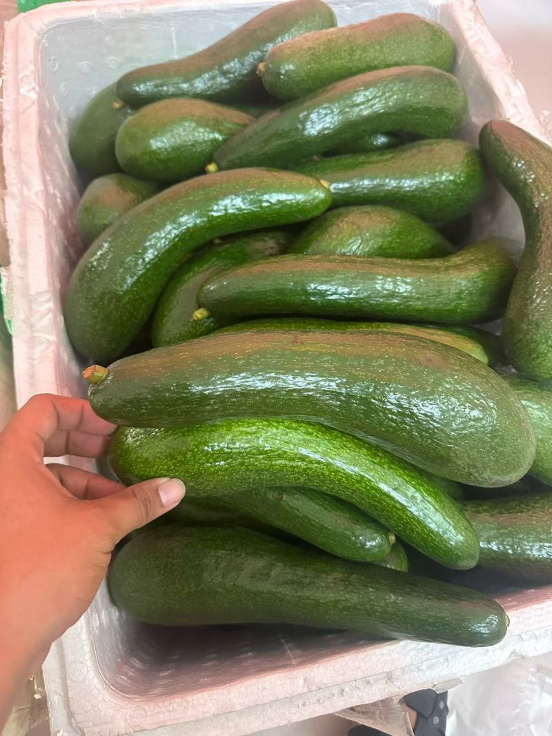 牛油果中大果混级果