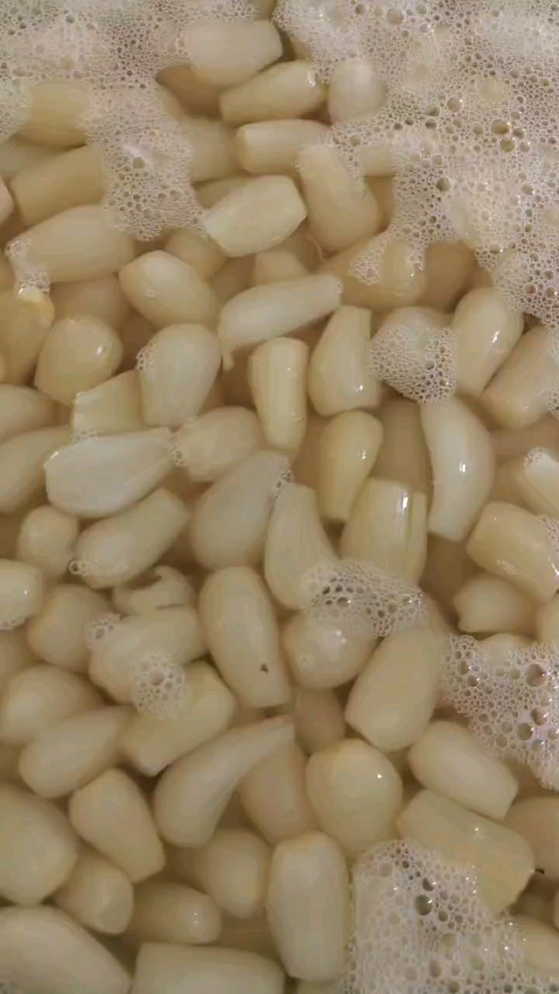 泡酱腌菜大中小三档