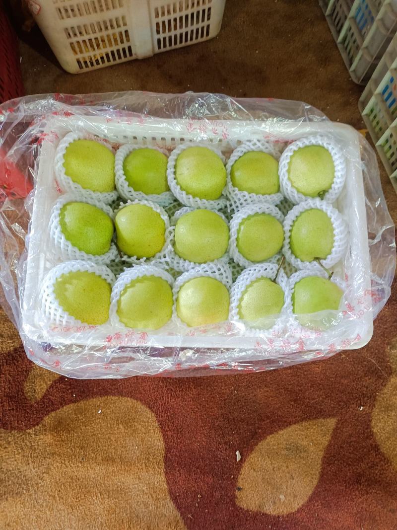 梨精品果，110克起步，丁香梨（蜂糖梨）