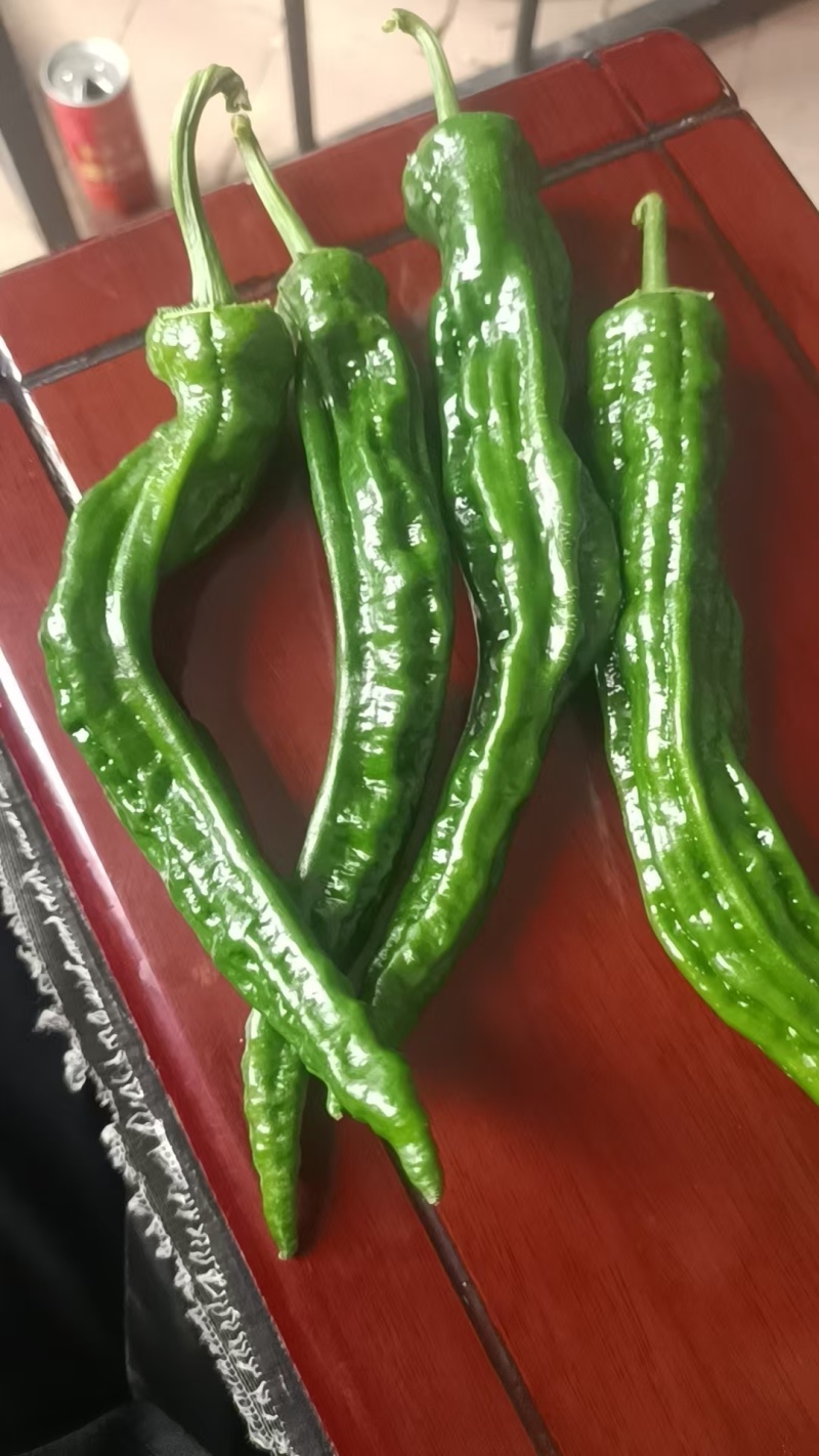 鲜辣椒