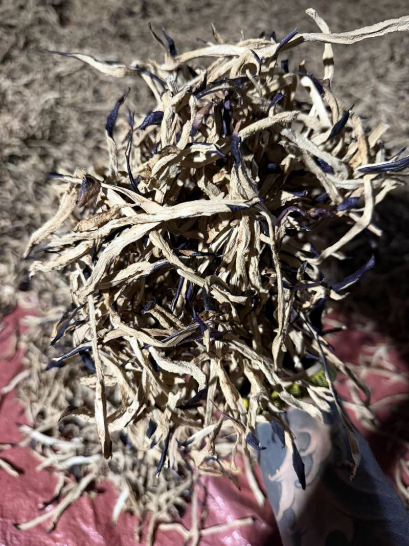 茄子干