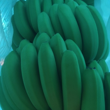 香蕉统货