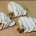 松茸3-5cm、5-7cm、7-9cm、9cm以上、9-