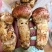 松茸3-5cm、5-7cm、7-9cm、9cm以上、9-