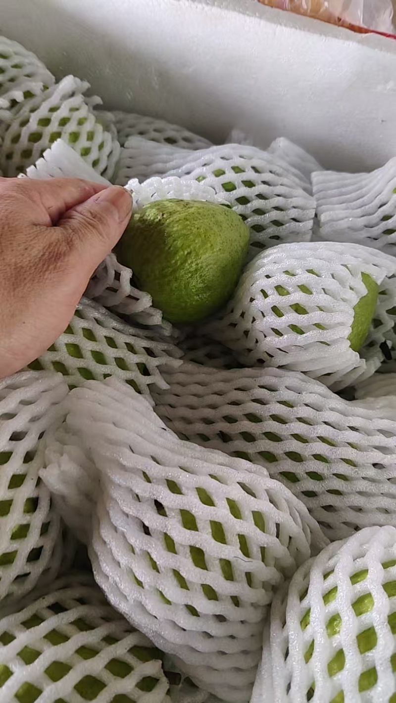 番石榴精品，包运费