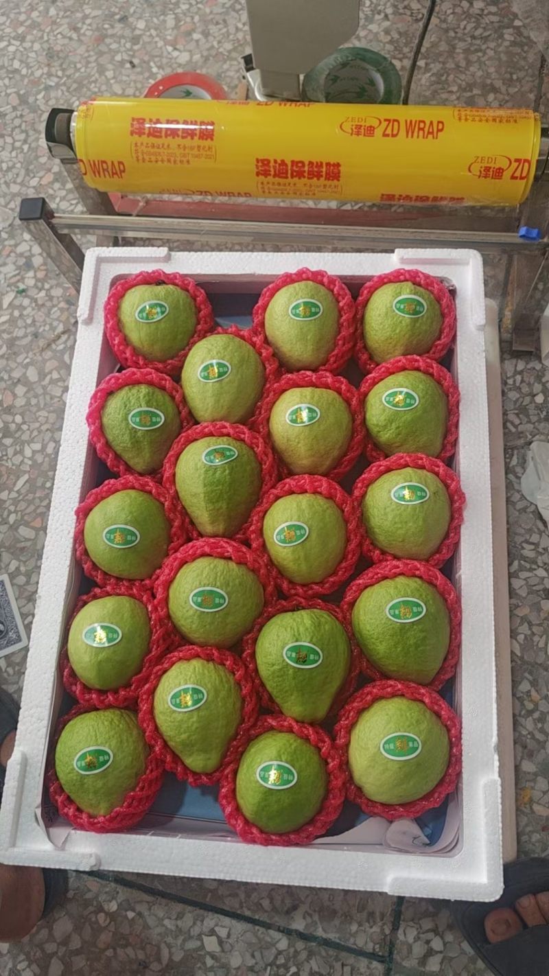 番石榴精品，包运费