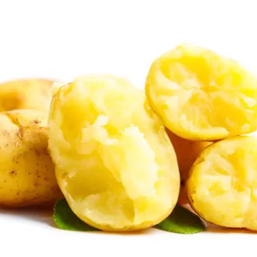 土豆迷你土豆（黄皮黄心）和大土豆（黄皮大果）都有，大小规