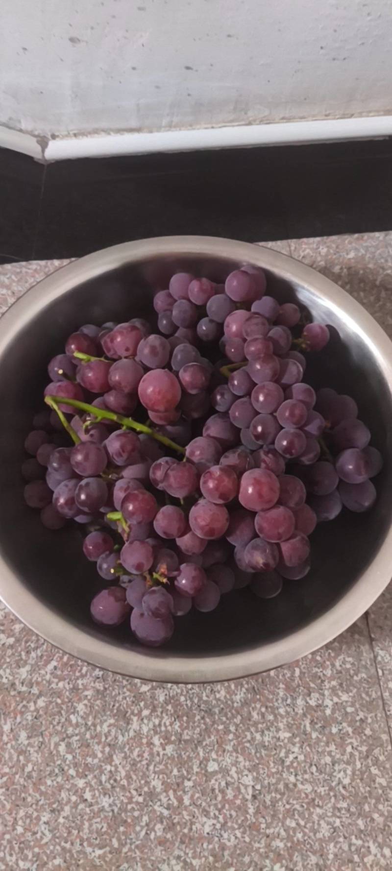 葡萄巨峰葡萄