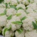 松花菜精品货