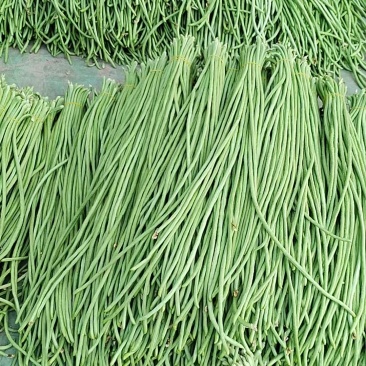 青条豆角