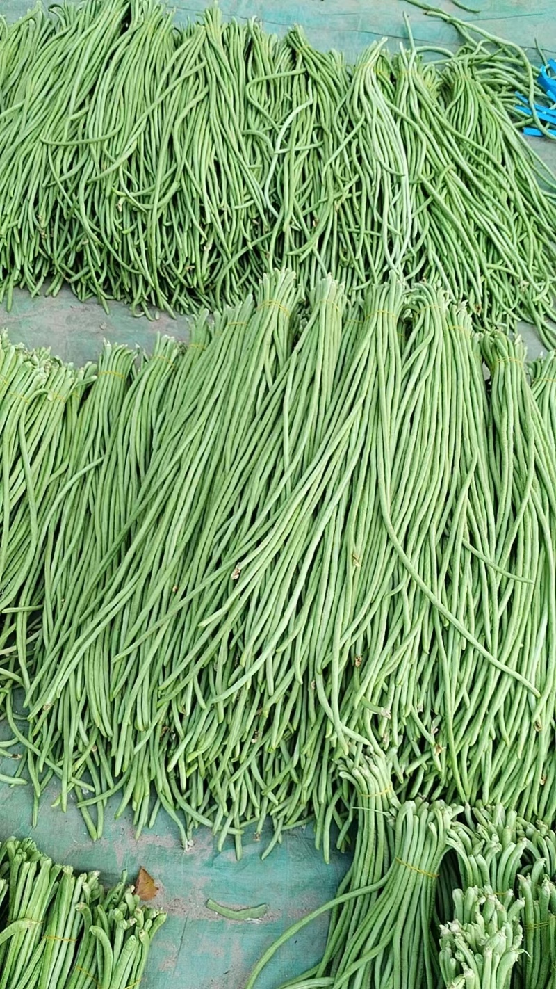 青条豆角