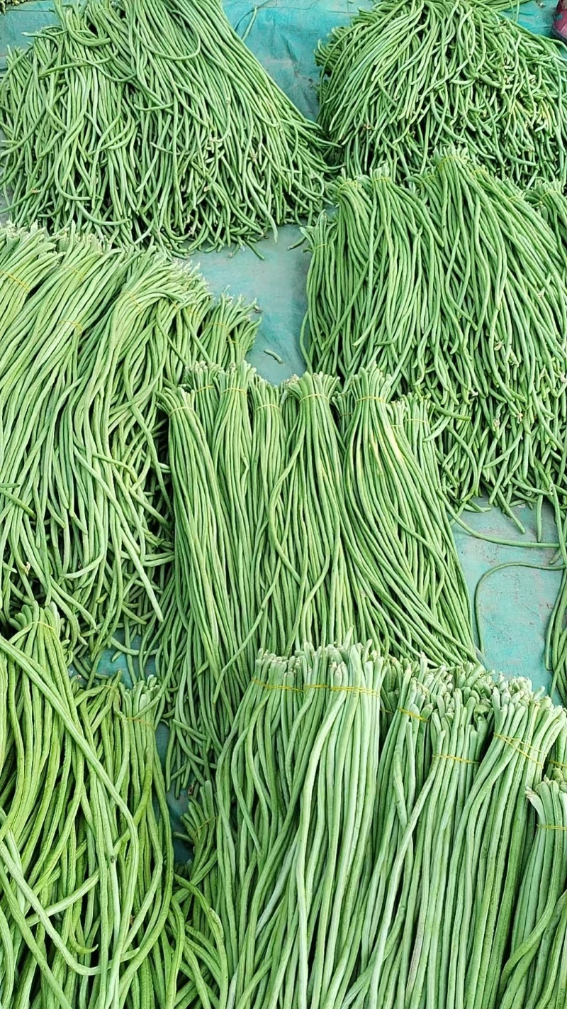 青条豆角