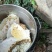 土蜂蜜一斤装，玻璃瓶装