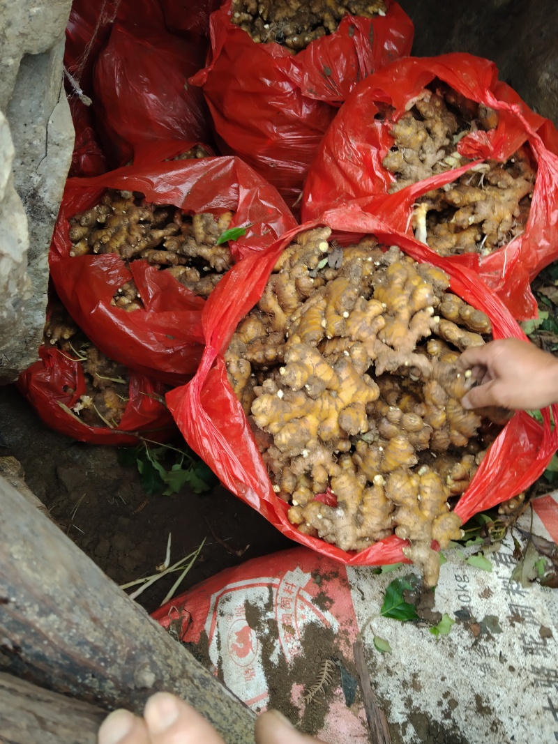 生姜统货，大块几斤一块，小块二两以上