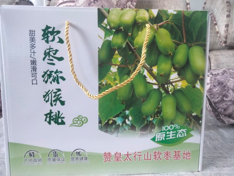 软枣猕猴桃一级货单果重15克以上，二级货10-14克