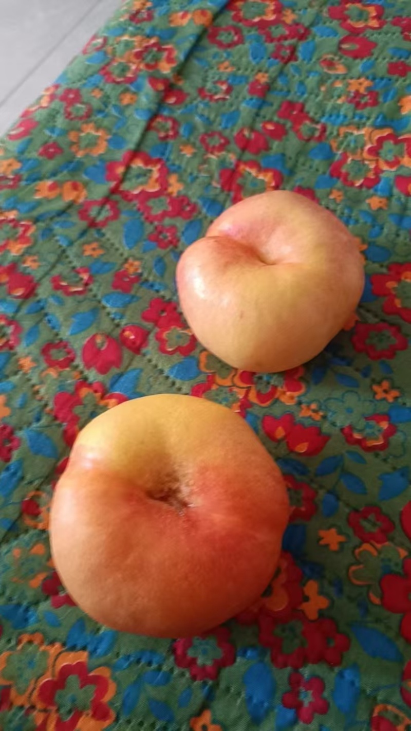油蟠桃四两起步