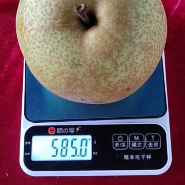 梨7两到一斤半左右