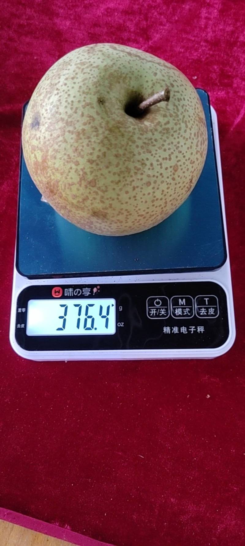 梨7两到一斤半左右