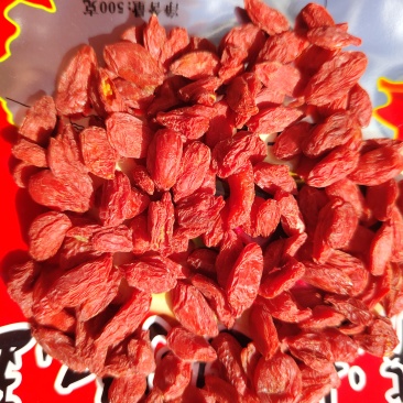 枸杞7号