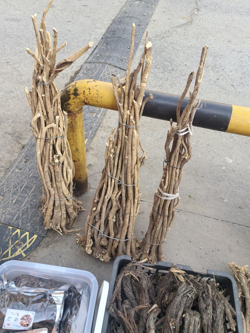 黄芪黄芪节/中条/精选/大条