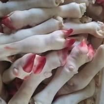 羊蹄