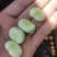 蚕豆带壳