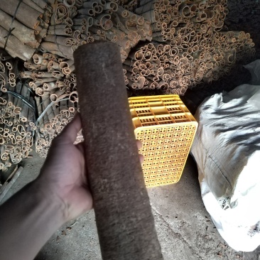 桂皮统货水洗中通