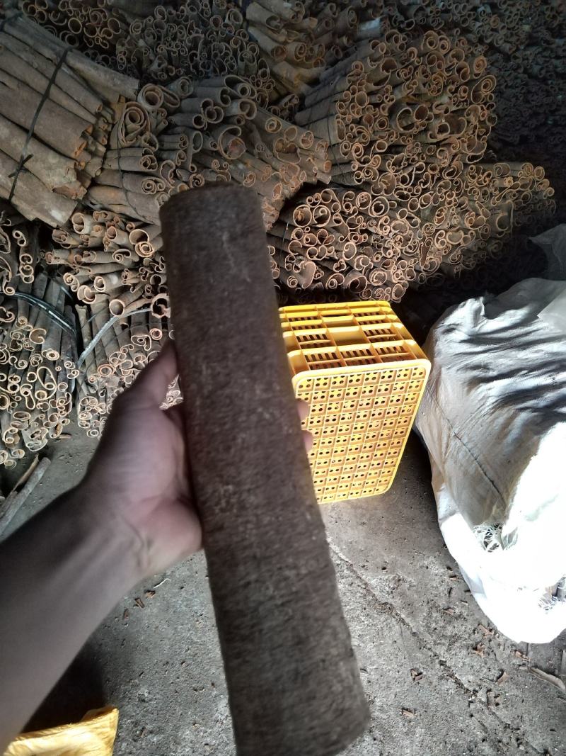 桂皮统货水洗中通