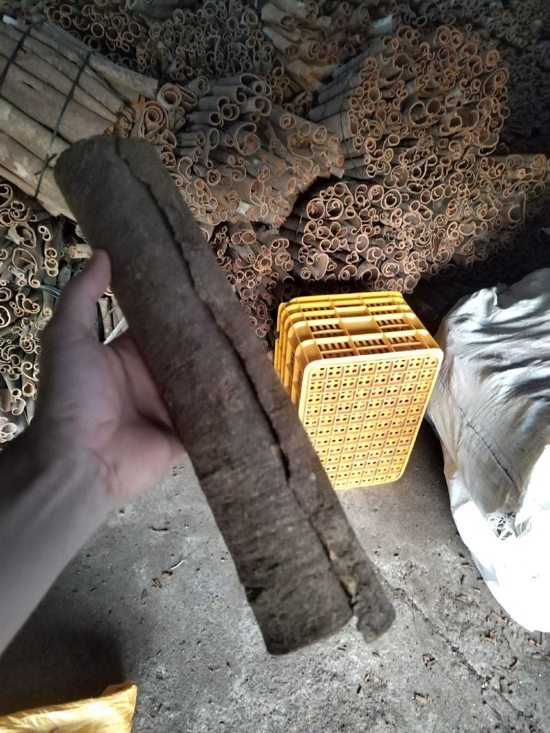 桂皮统货水洗中通