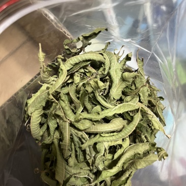 柠檬马鞭草純叶
