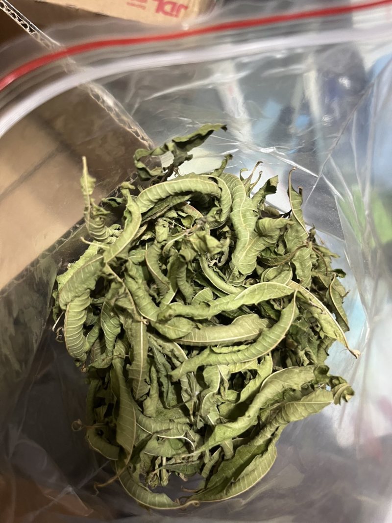 柠檬马鞭草純叶