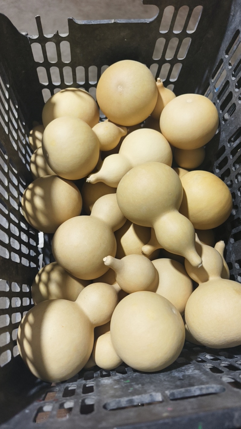 工艺品葫芦8公分以上