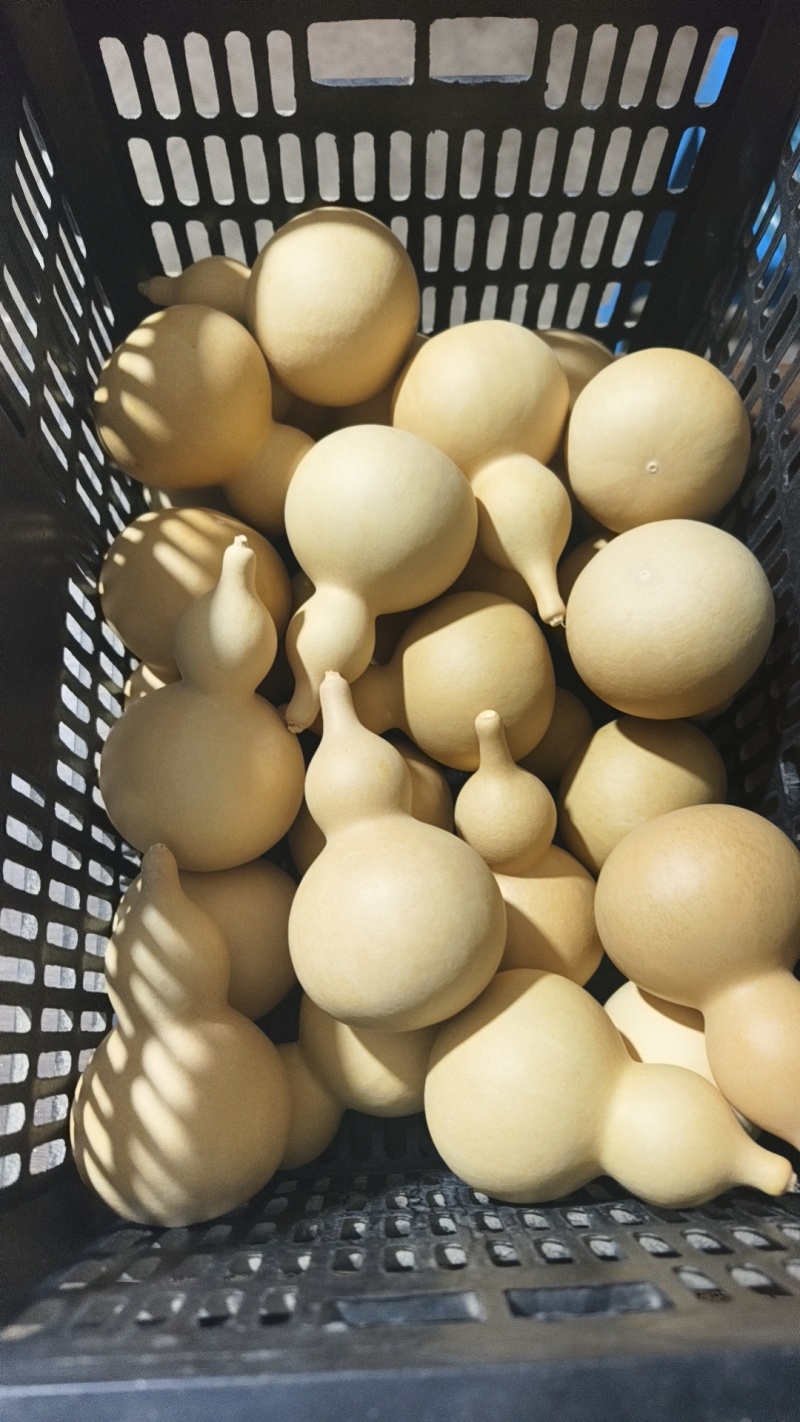 工艺品葫芦8公分以上