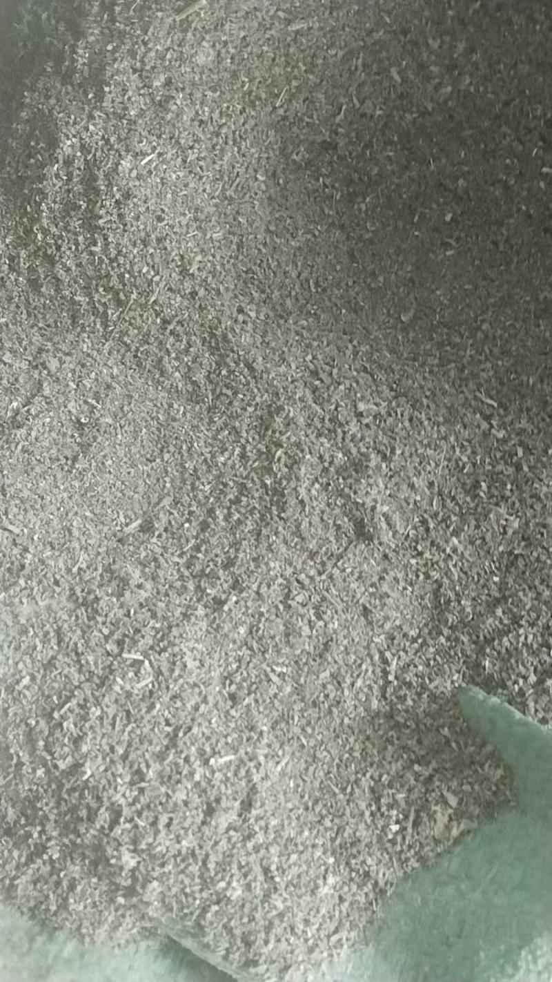 野菊花通货