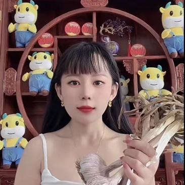 大蒜种子60斤/袋