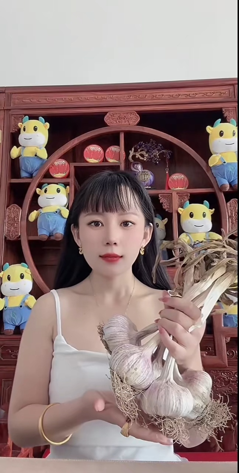 大蒜种子铁繁品种，60斤/袋