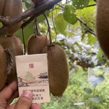 猕猴桃根据客户要求