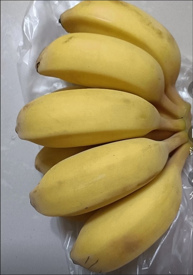 广西苹果蕉统货，不分大小果产地直供货源充足