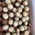 夏威夷果18-20mm,20-22mm,22-25m