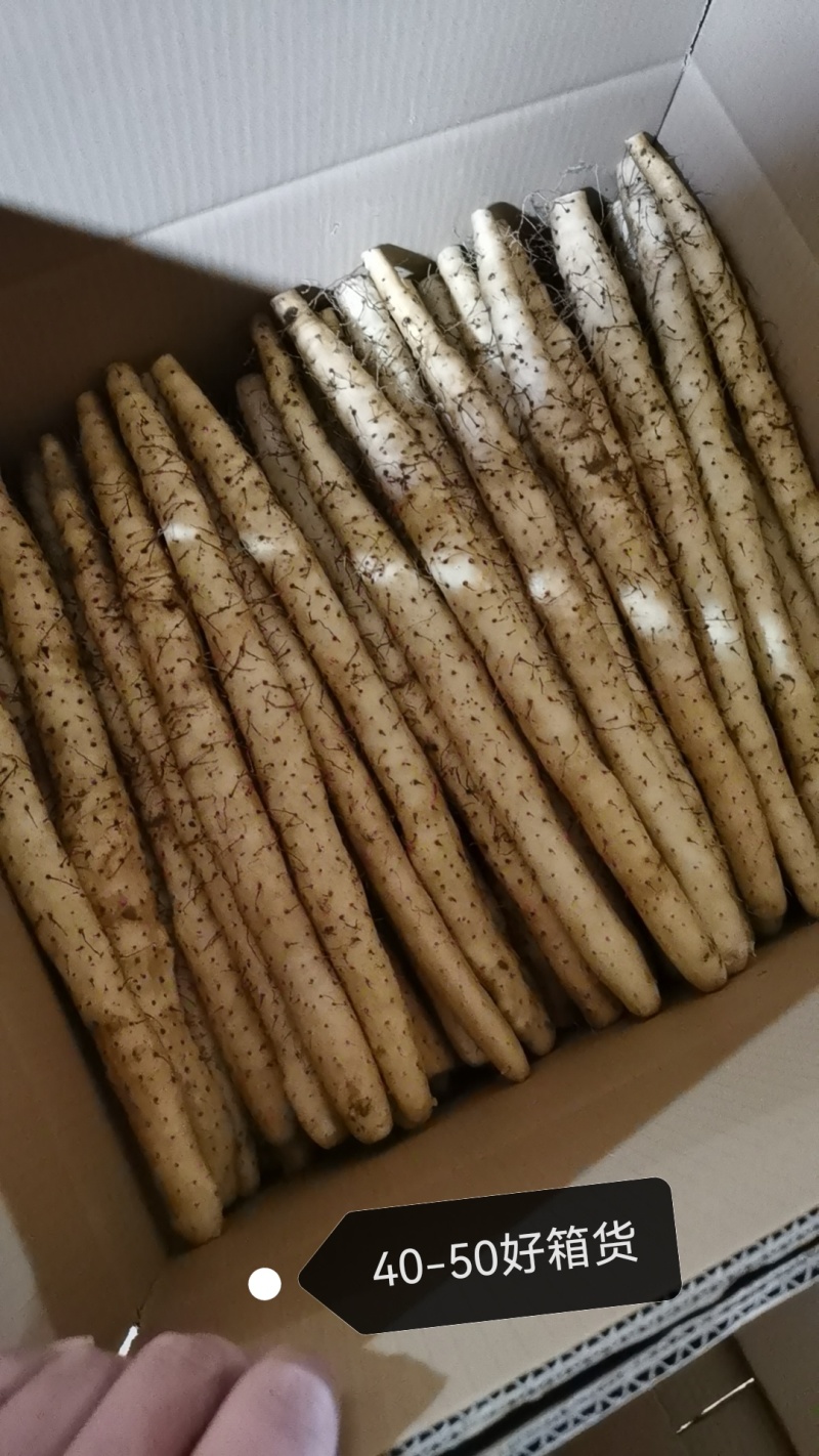 小白嘴山药，铁棍山药，双棒山药。产地直供