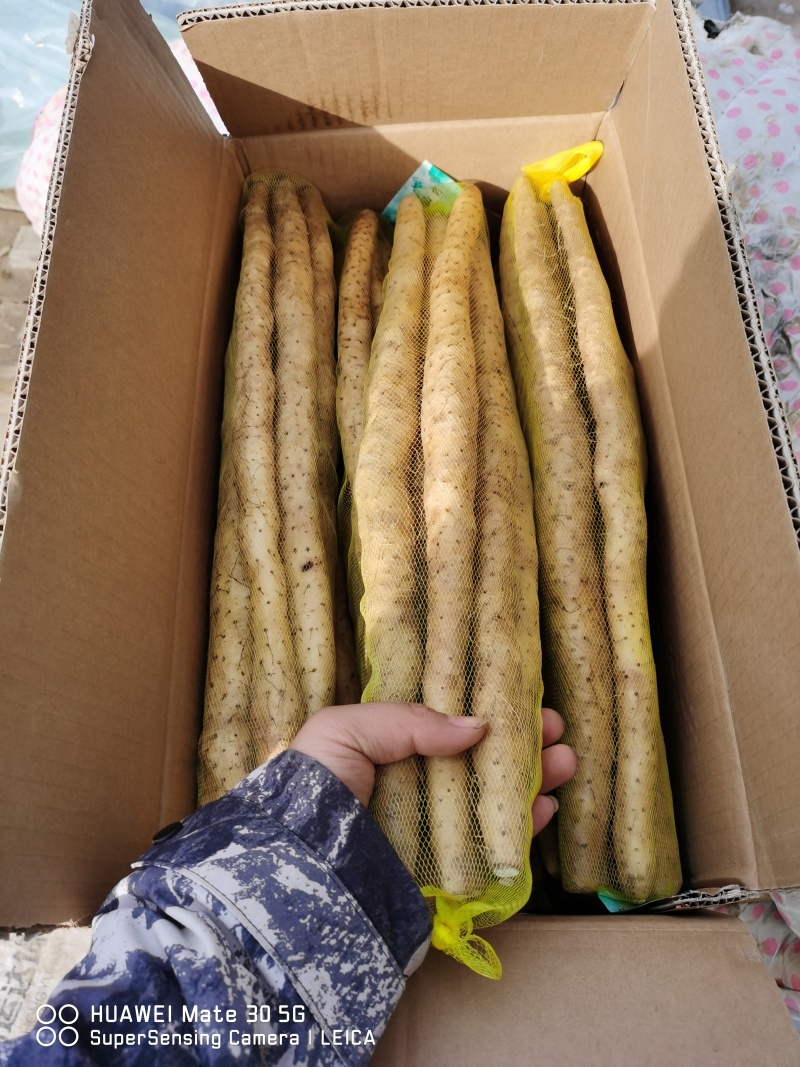 小白嘴山药，铁棍山药，双棒山药。产地直供