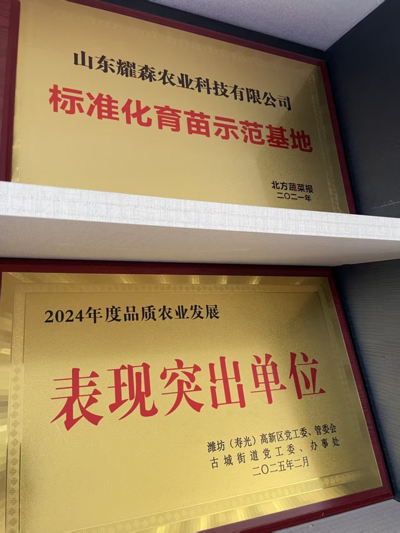 西红柿苗嫁接苗和直根苗都有，三叶标准苗，含格莱口感番茄（