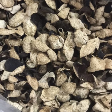 陈皮10年陈皮