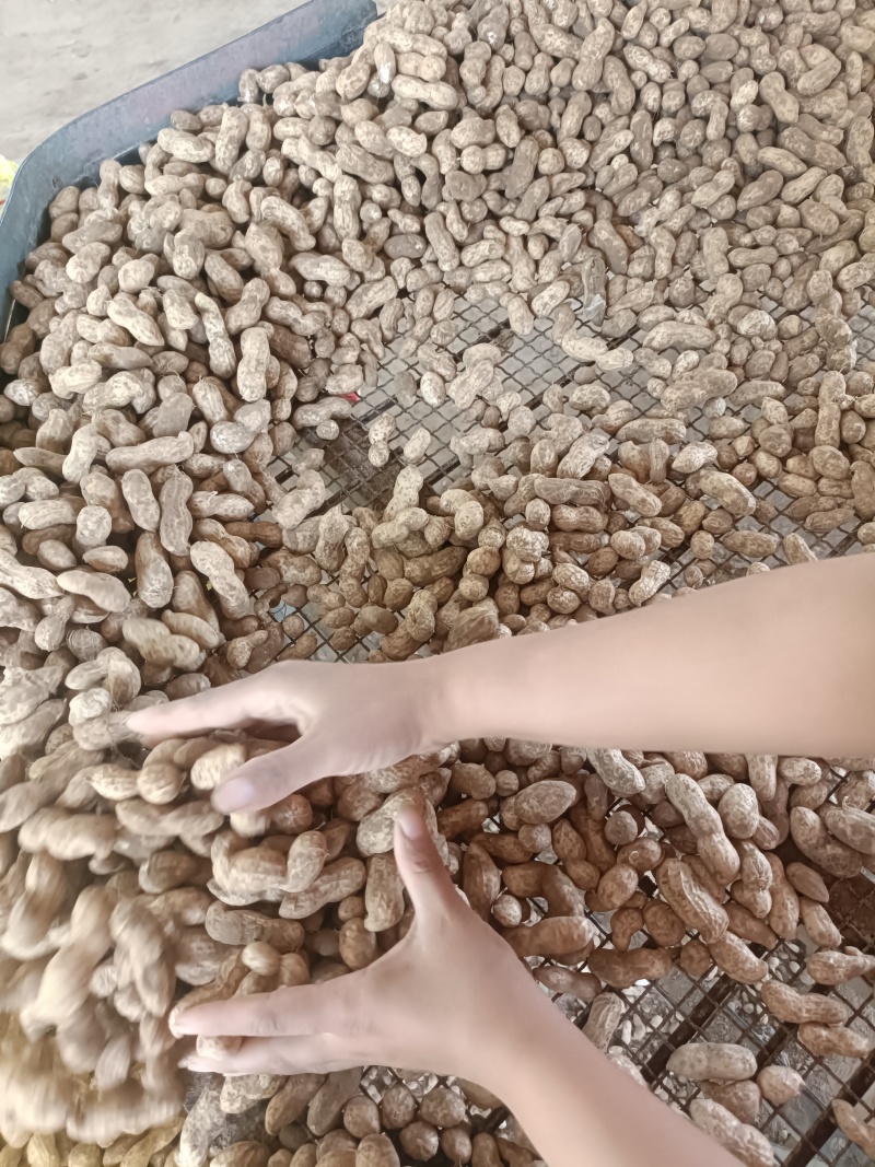 花生有过筛有不过筛的